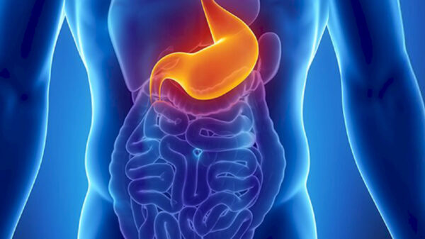 Gastroenterologija